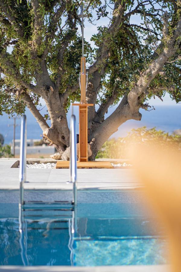 Santa Marina Syros Villa Liaropa Exterior photo